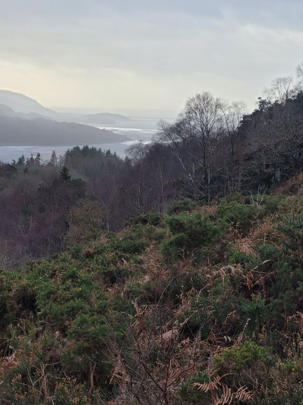 Overlooking estuary